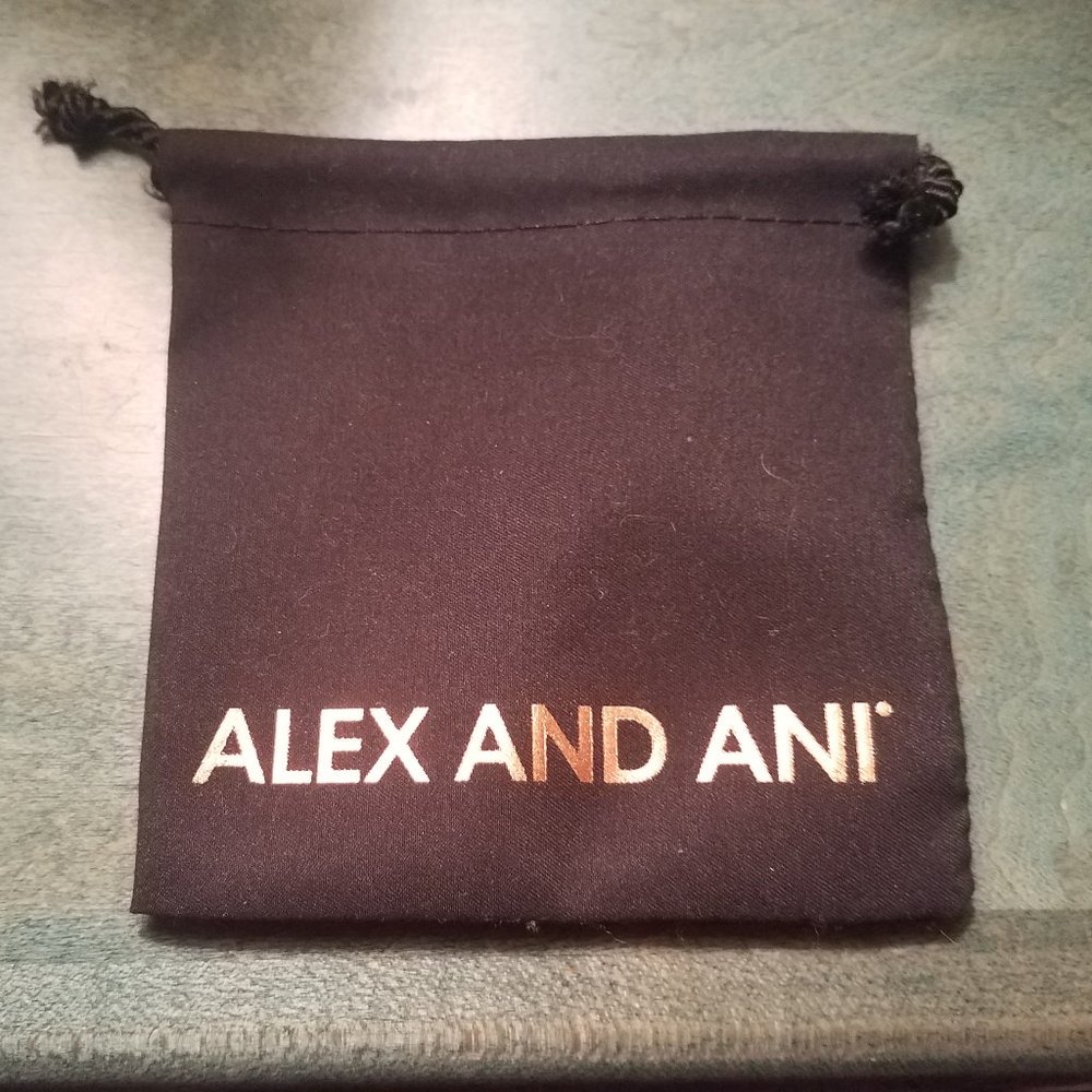 Alex and Ani Love Chakra Bracelet - Picture 3 of 3
